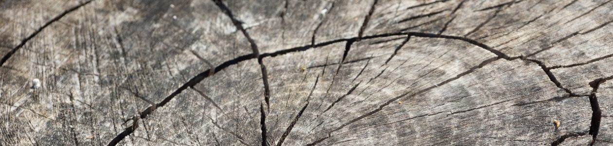 Vermont Windsor Chairs